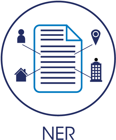 Named Entity Recognition (NER)